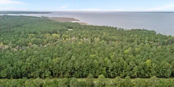 Image 4: 4-web-or-mls-DJI_20251008124340_0375_D
