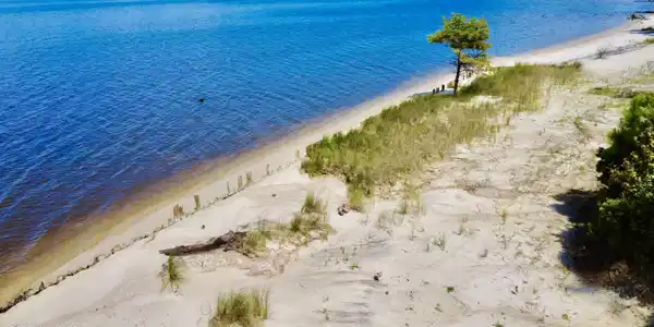 Image 3: DJI_0828