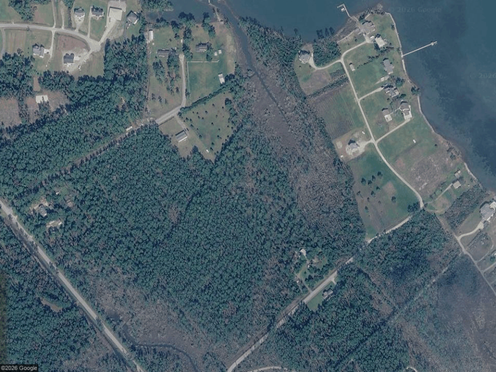 Image 2: PIC