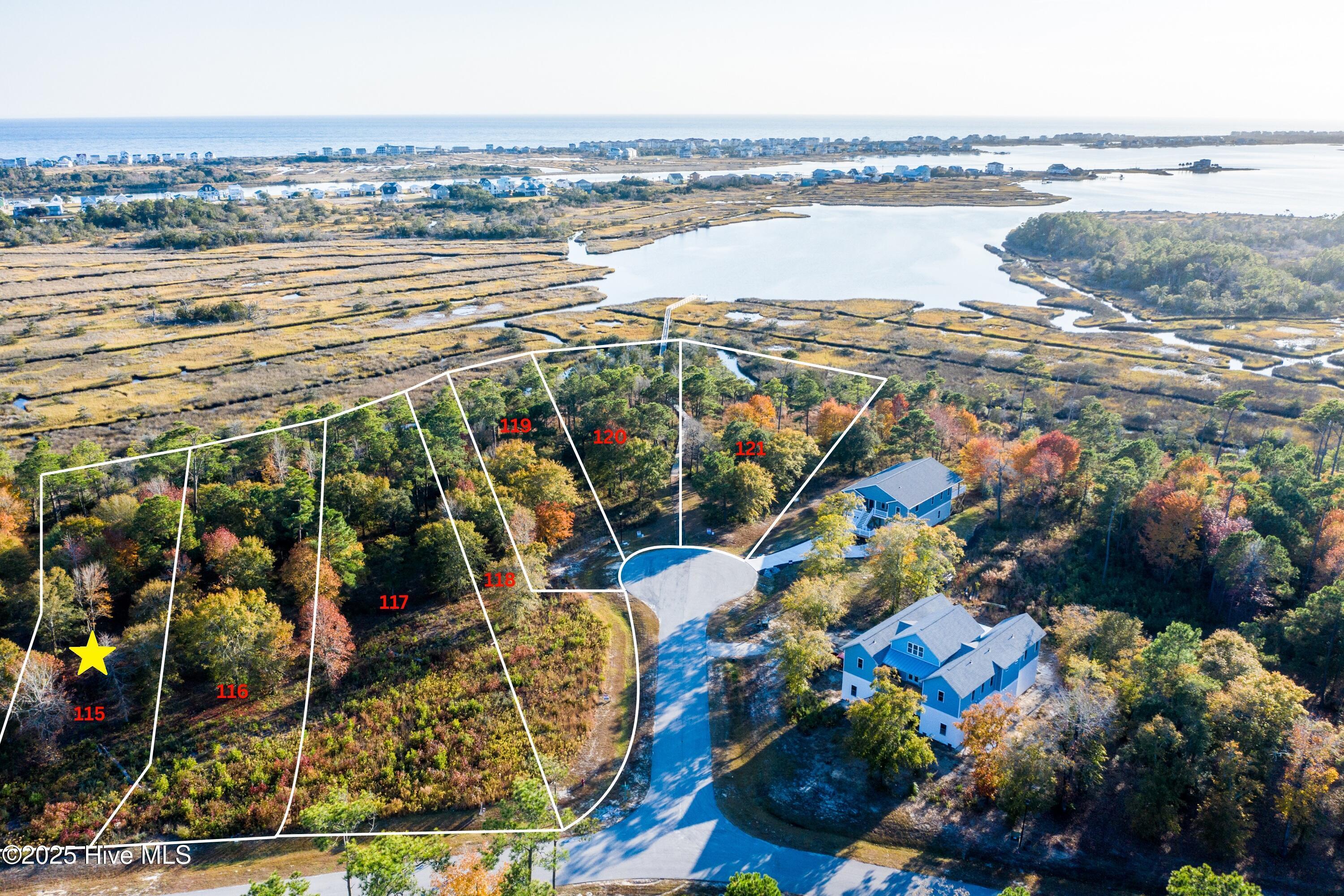 Image 3: lot 115 3