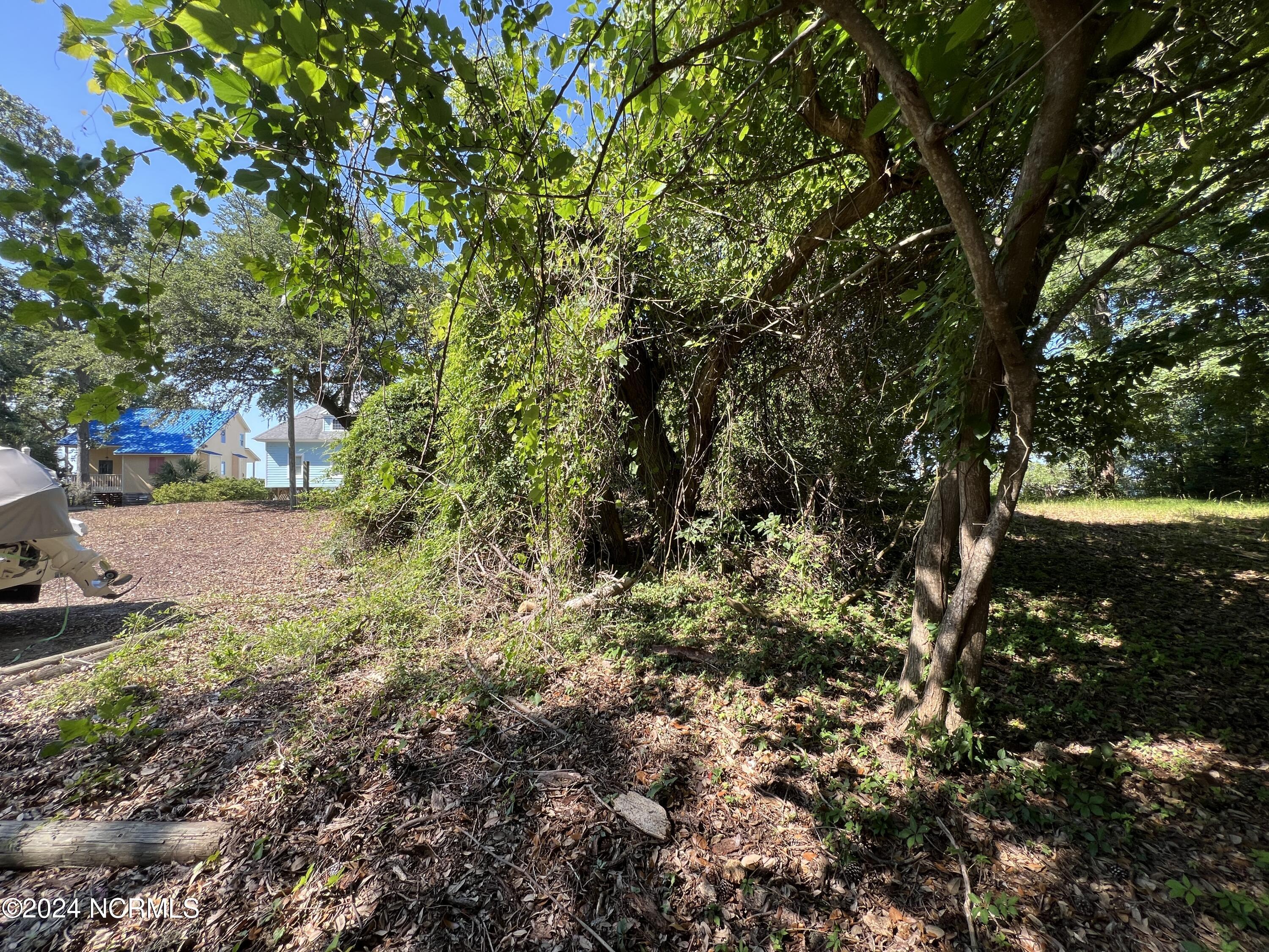 Image 3: IMG_5168
