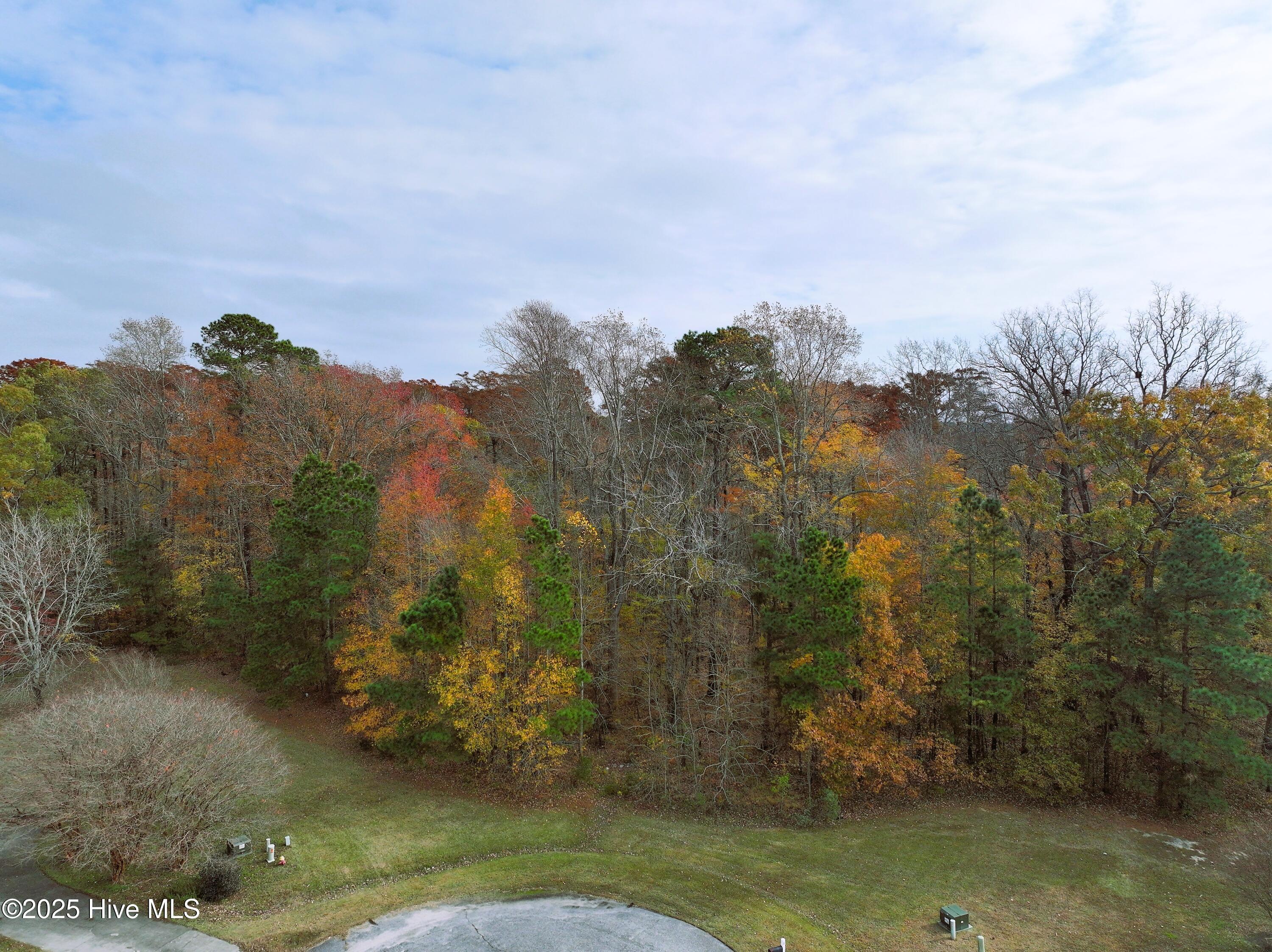 Image 1: DJI_20251120120725_0421_D