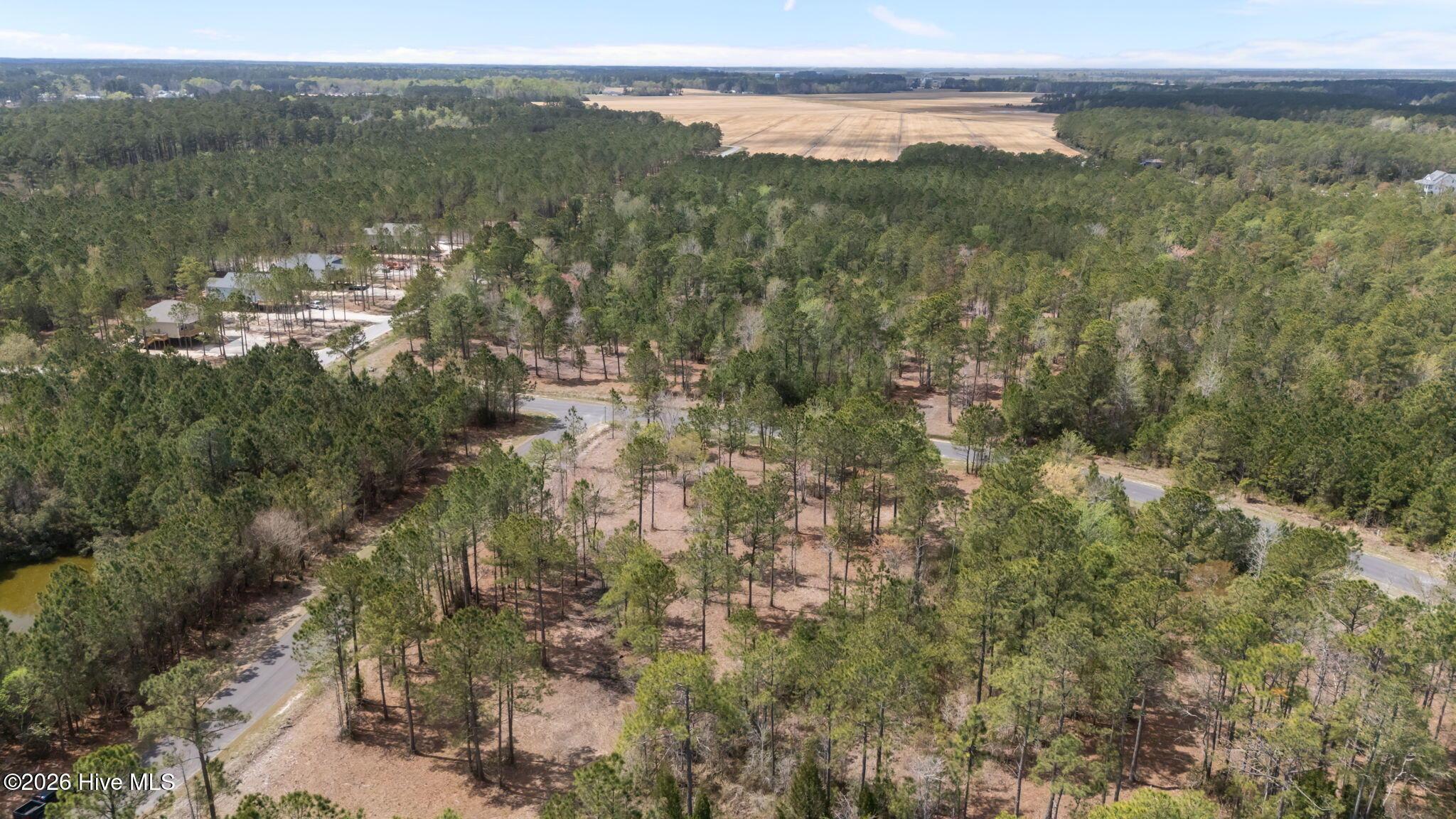 Image 4: 15-web-or-mls-DJI_20260331124556_0190_D
