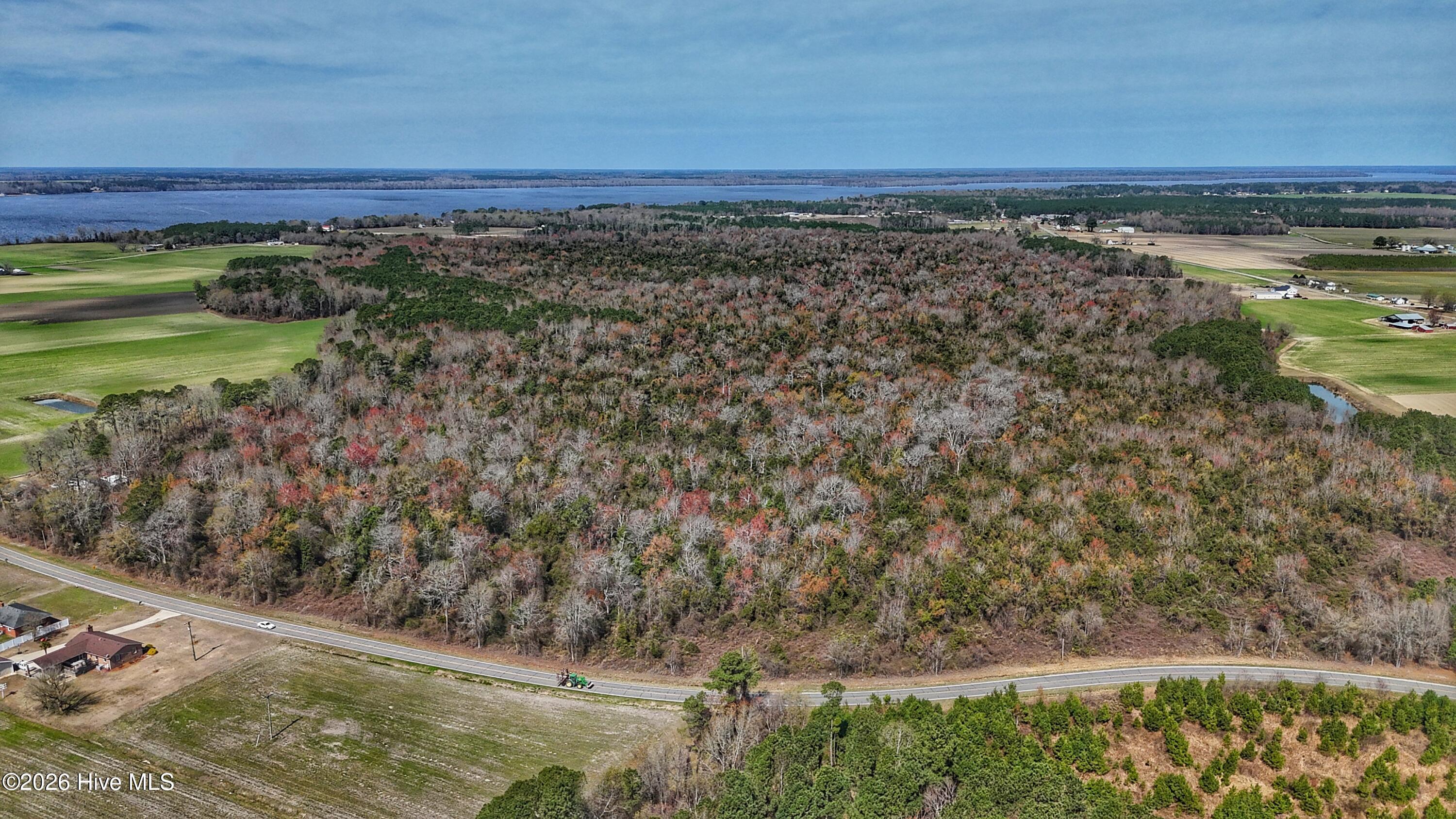 Image 2: dji_fly_20260314_124326_0620_17735080441
