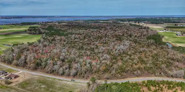 Image 2: dji_fly_20260314_124326_0620_17735080441