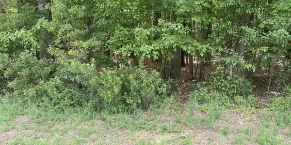 Lot 20 Hollis Drive