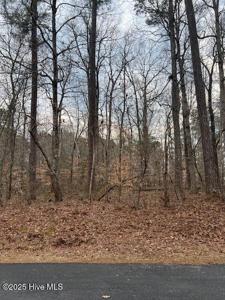 00 Dogwood Dr.