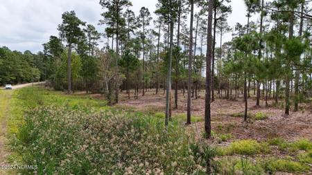 3572 Upper Neck Road