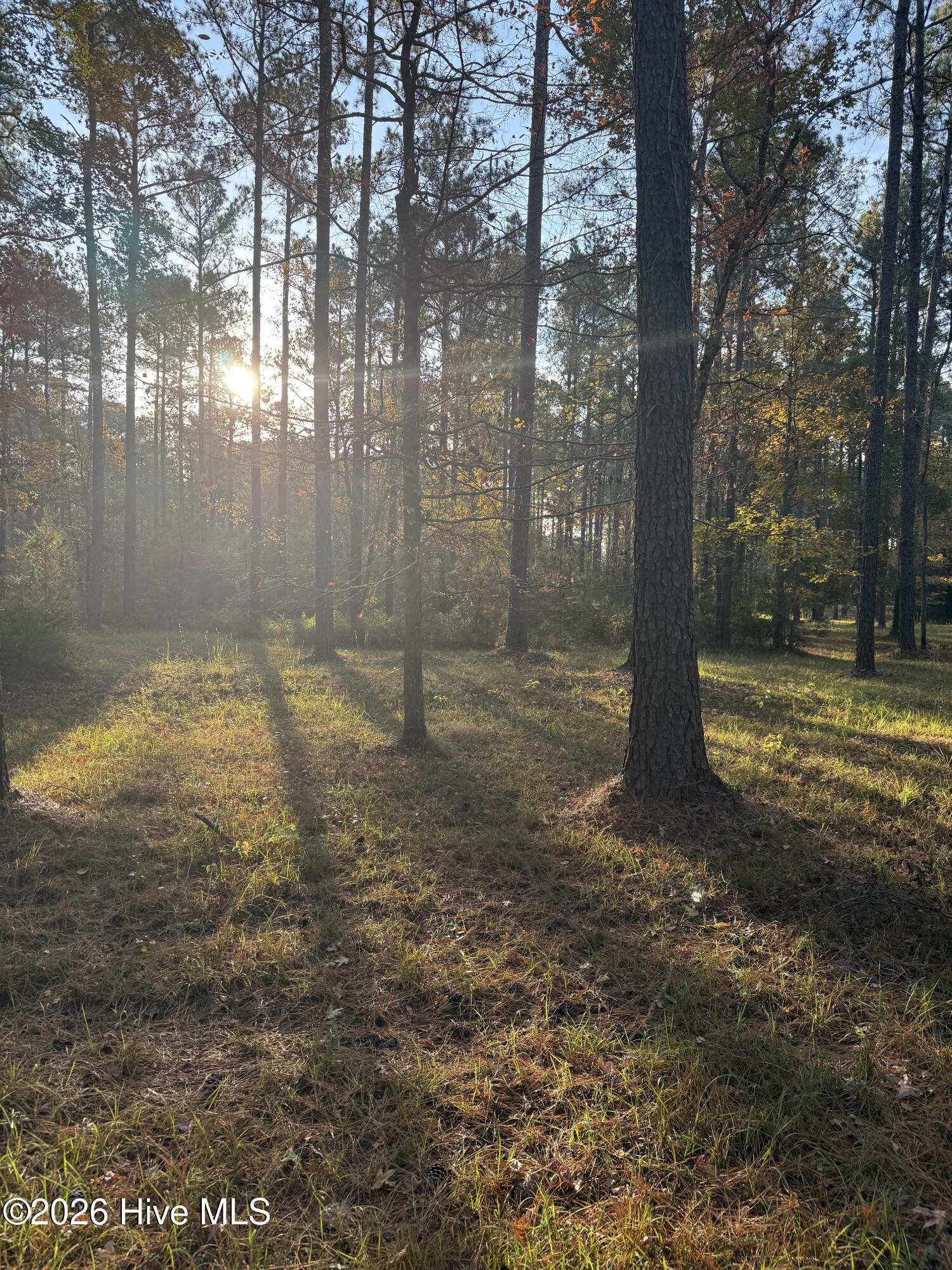 Image 1: morning view