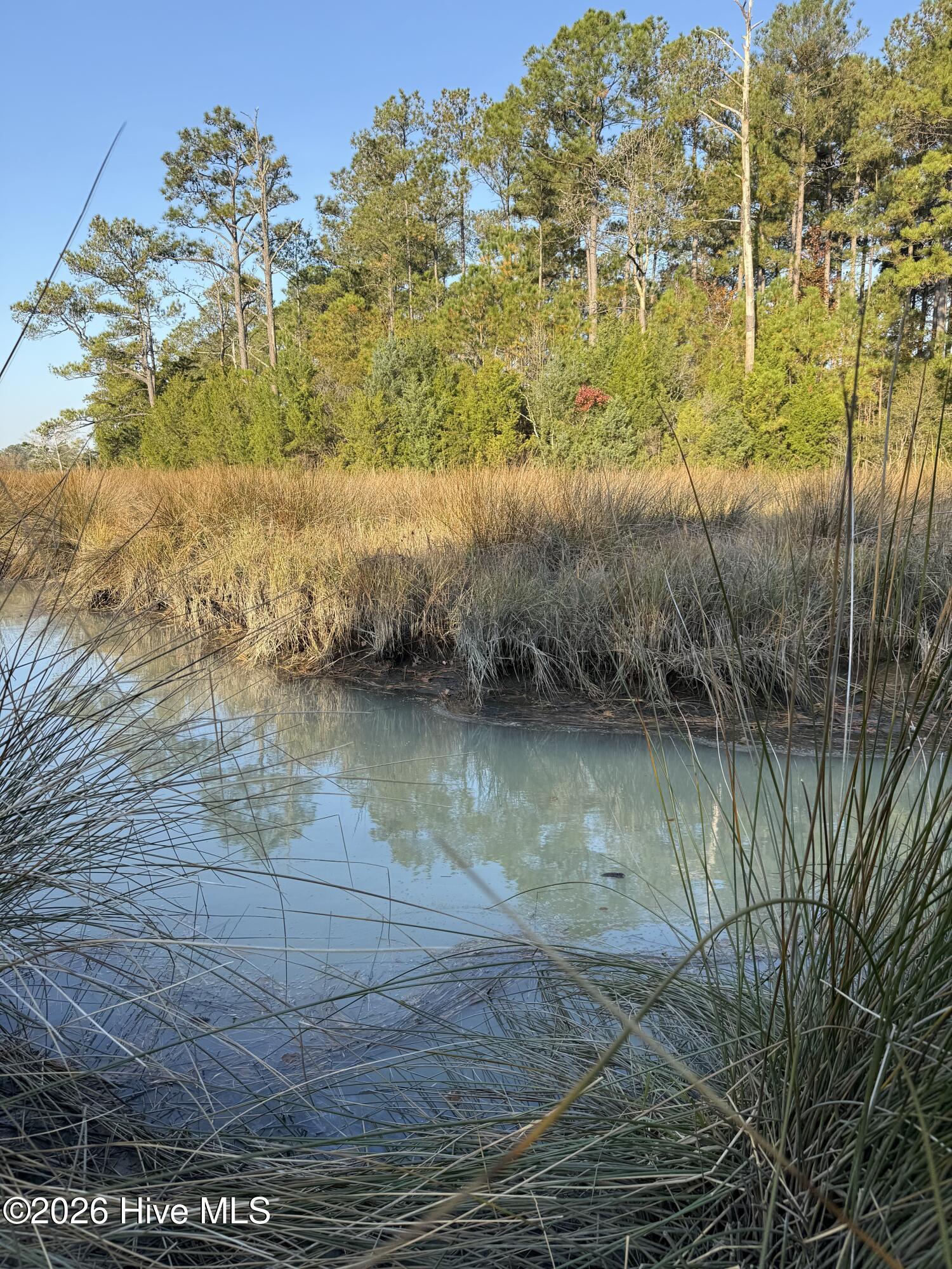 Image 2: Water view