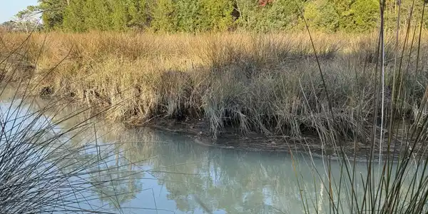 Image 2: Water view