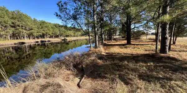 Lot 69 W Dowry Creek West Creek