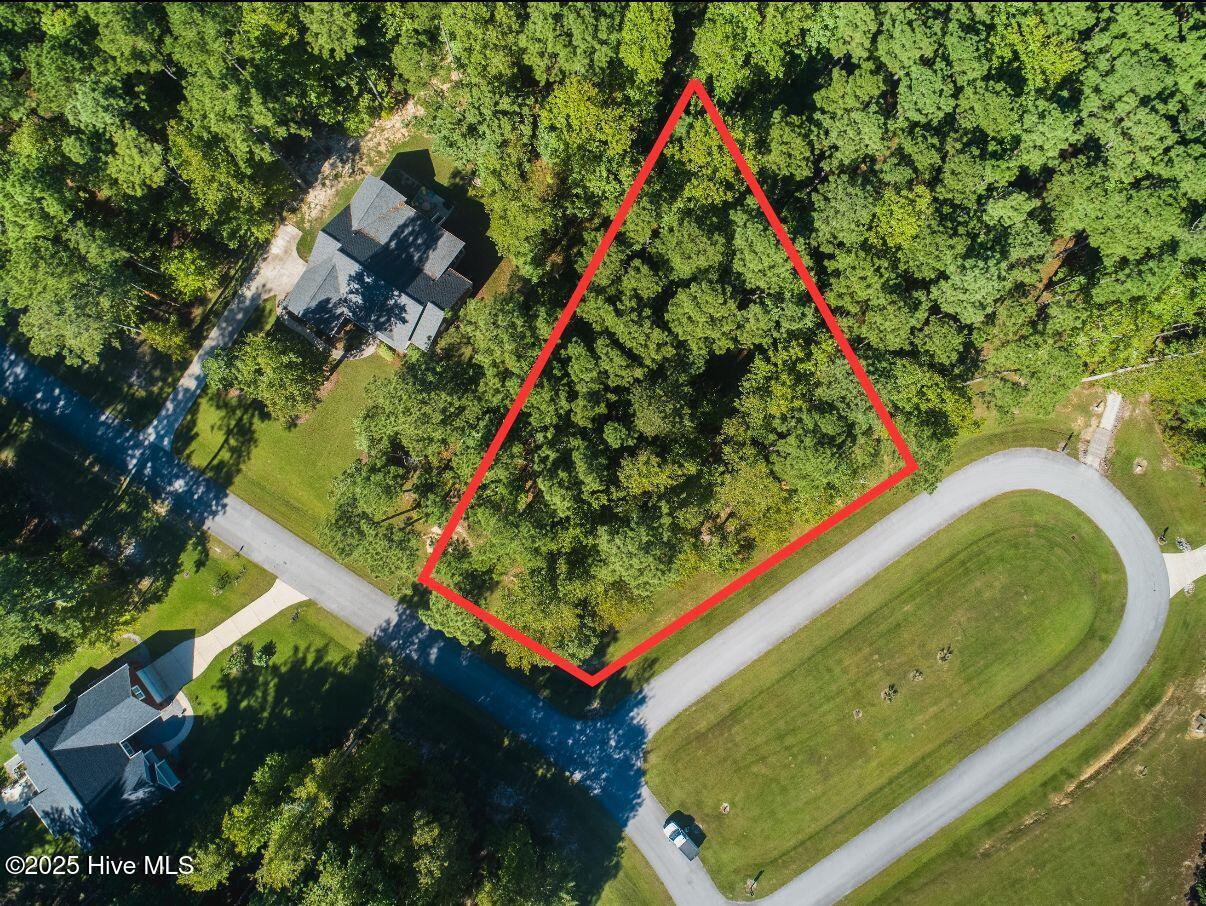 Image 1: Lot 199 lines