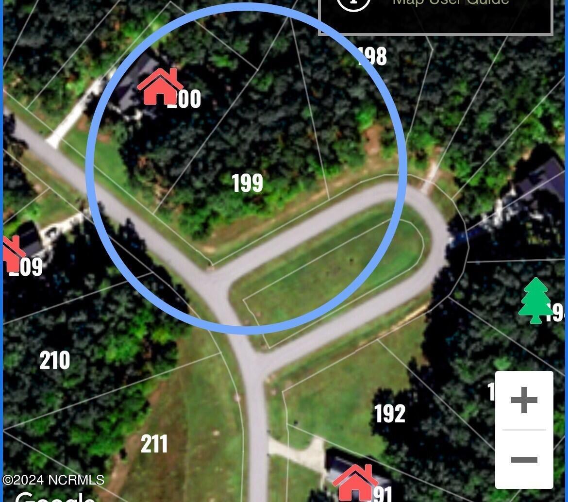 Image 3: Lot 199 listing pic