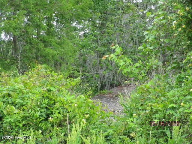 Image 4: IMG_7471