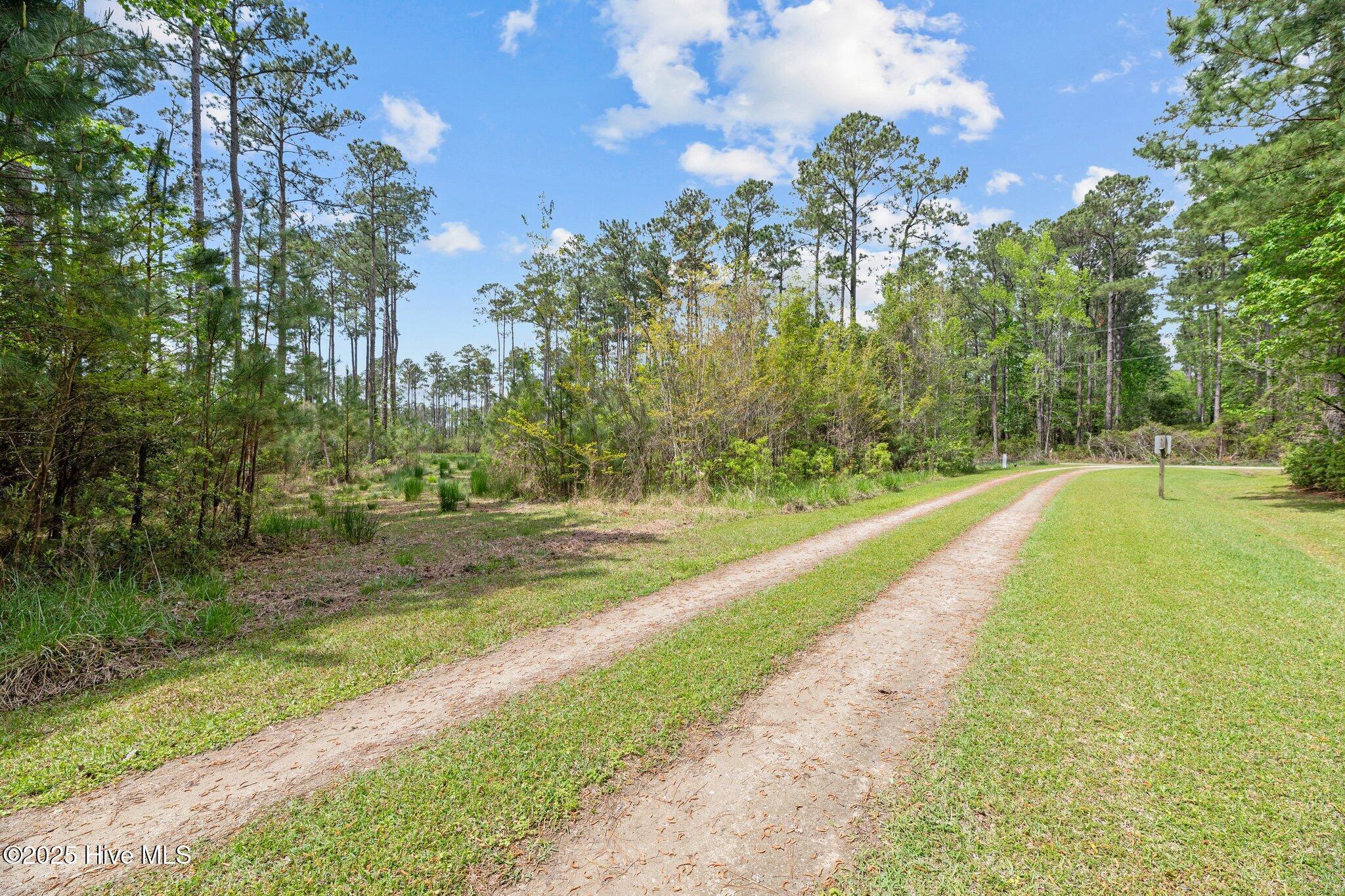 Image 2: 14-web-or-mls-DSC_0052