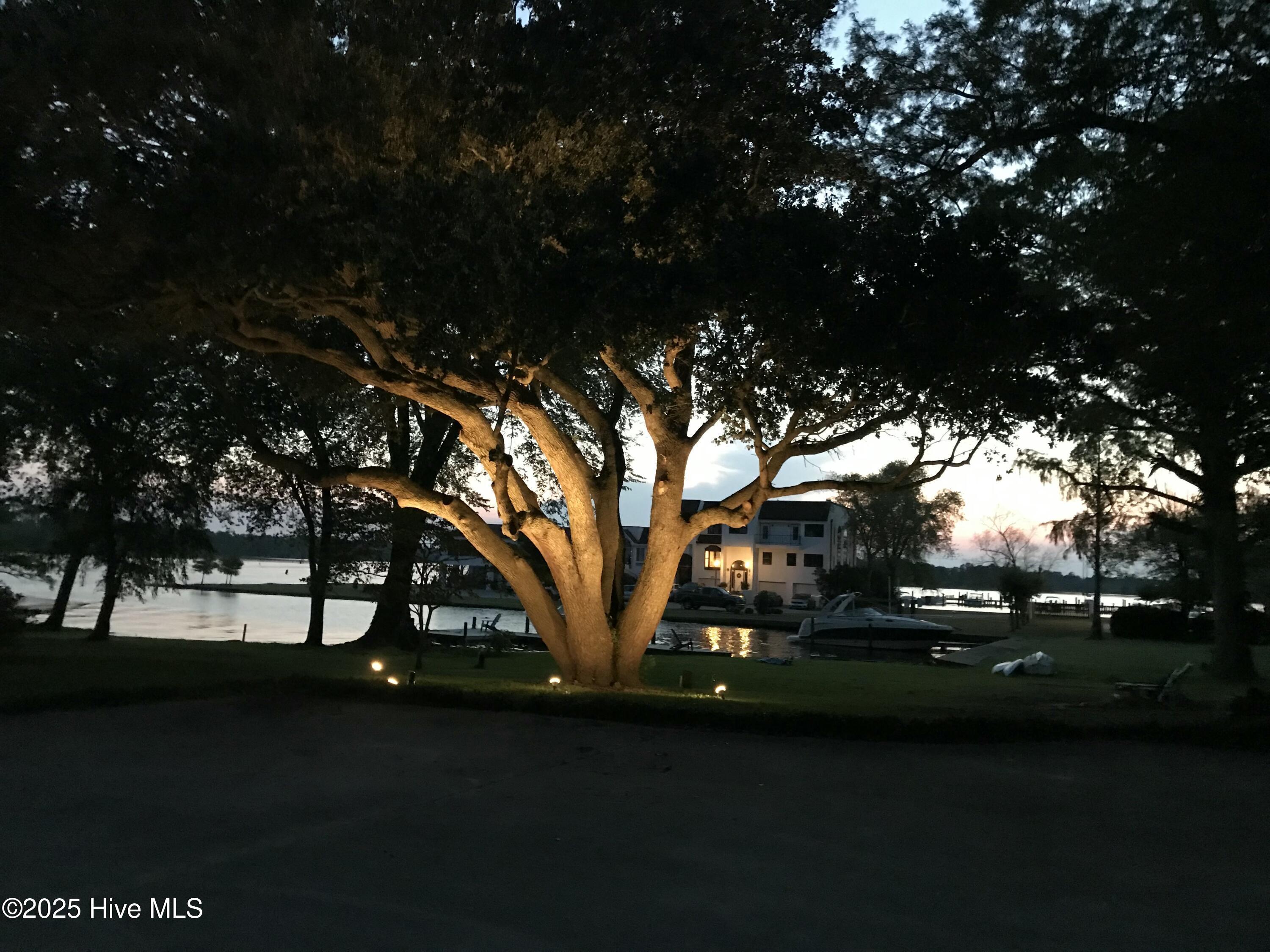 Image 4: FAFF8DD2-6CE9-4C94-B831-A0345F2E8592