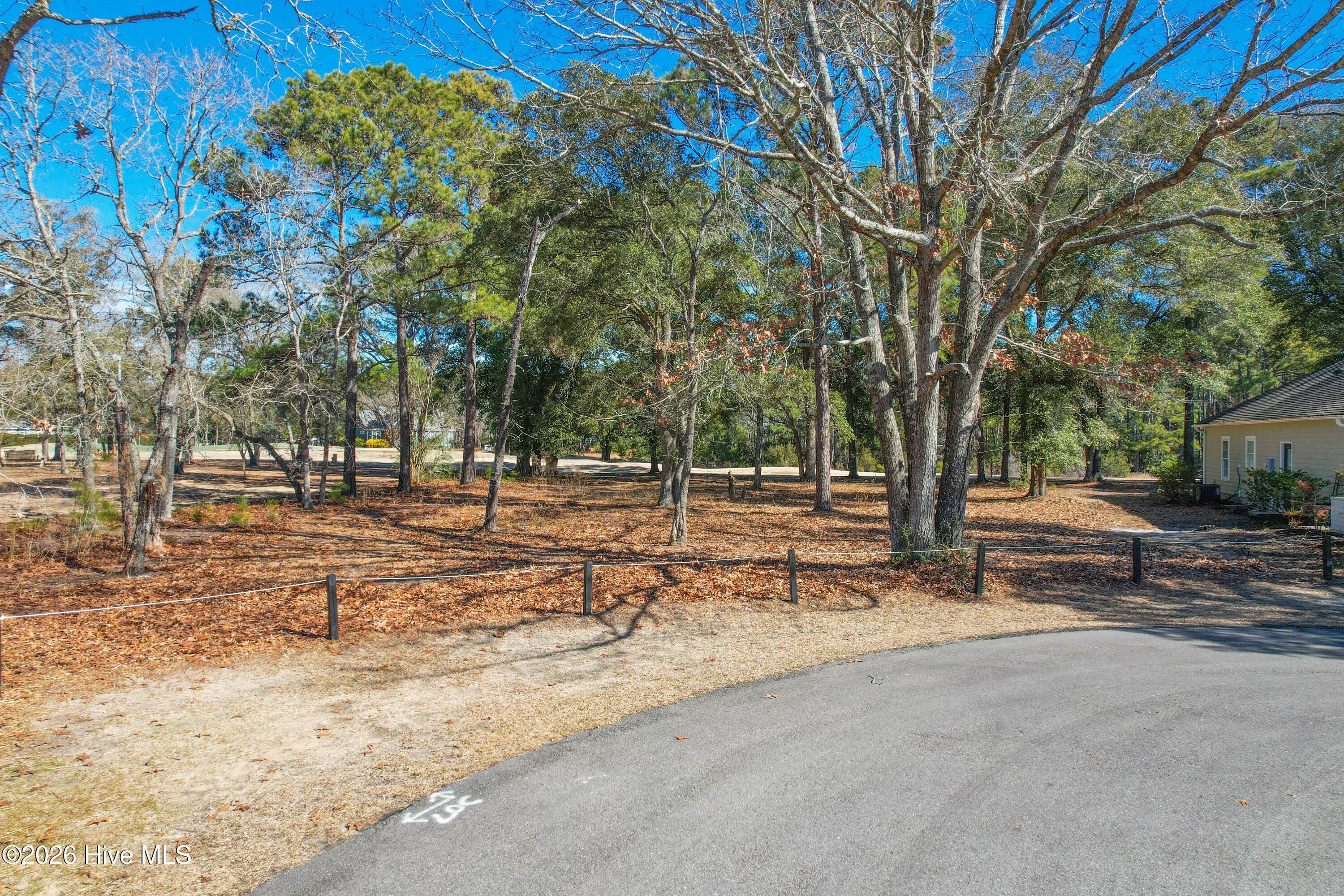 Image 2: 3056PurpleFinchLnSW - 2