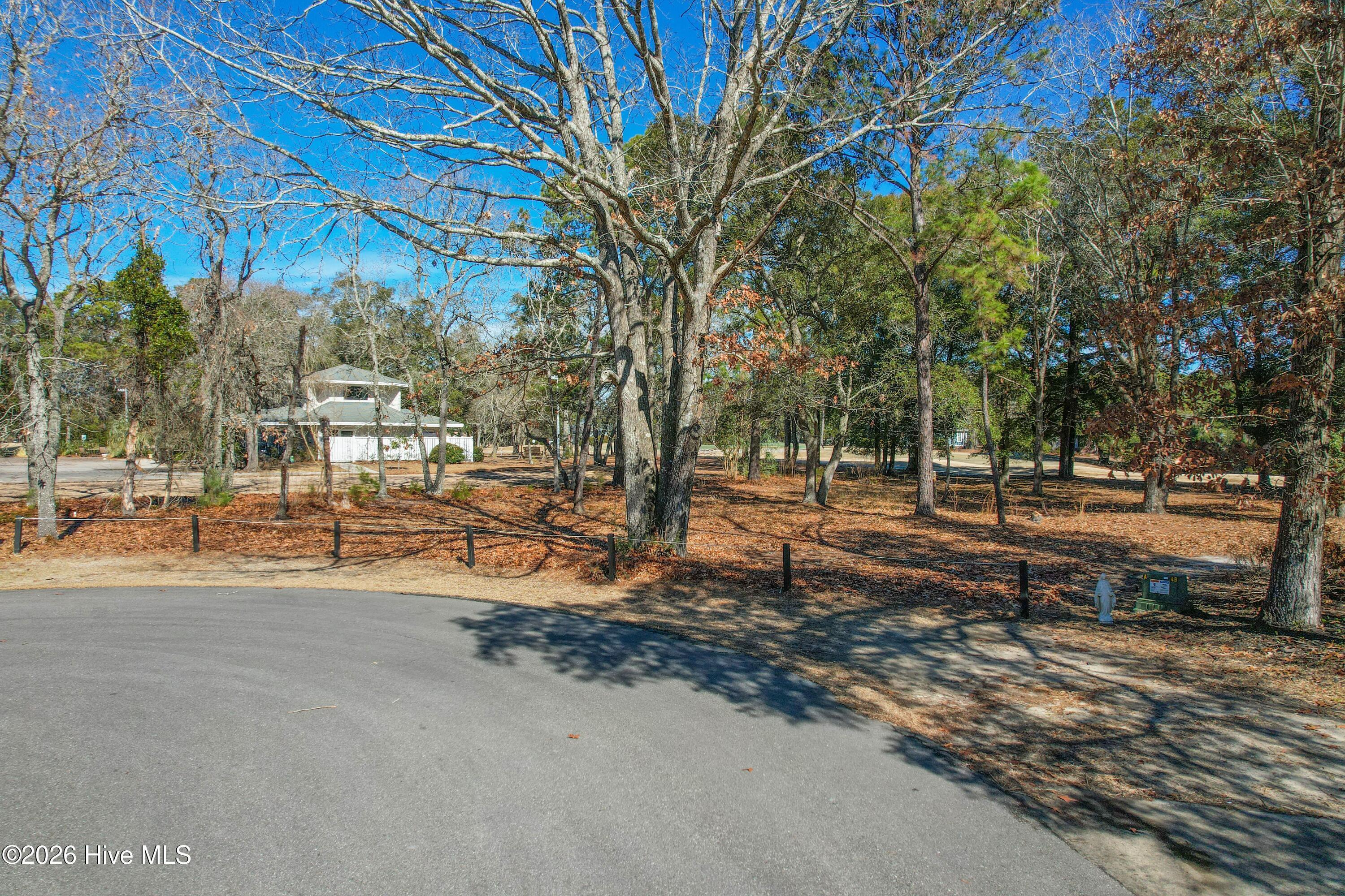 Image 3: 3056PurpleFinchLnSW - 3