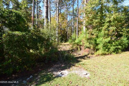 1005 Alabaster Drive