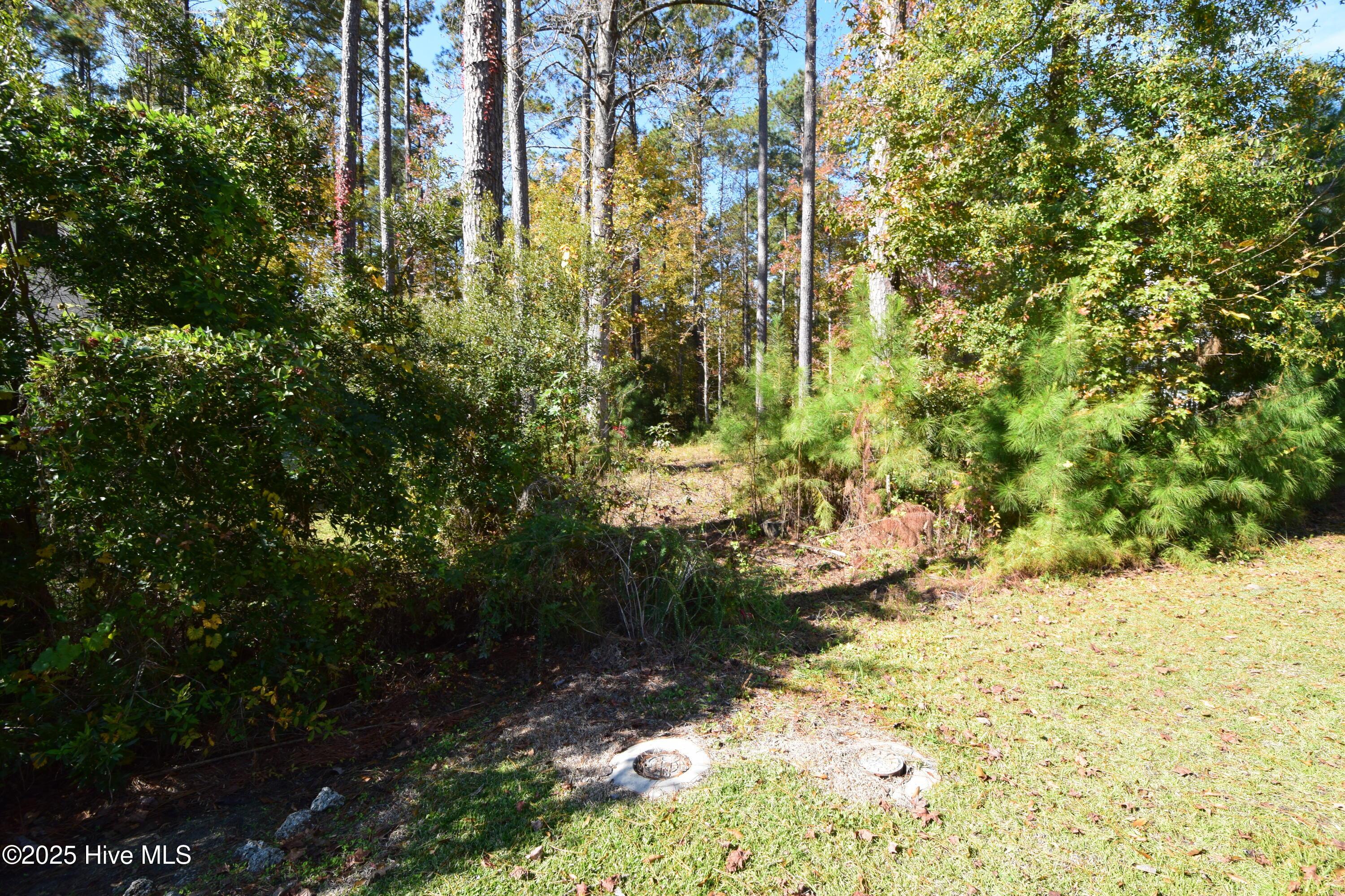 Image 1: 1