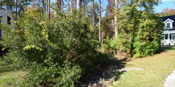 Image 2: 1a
