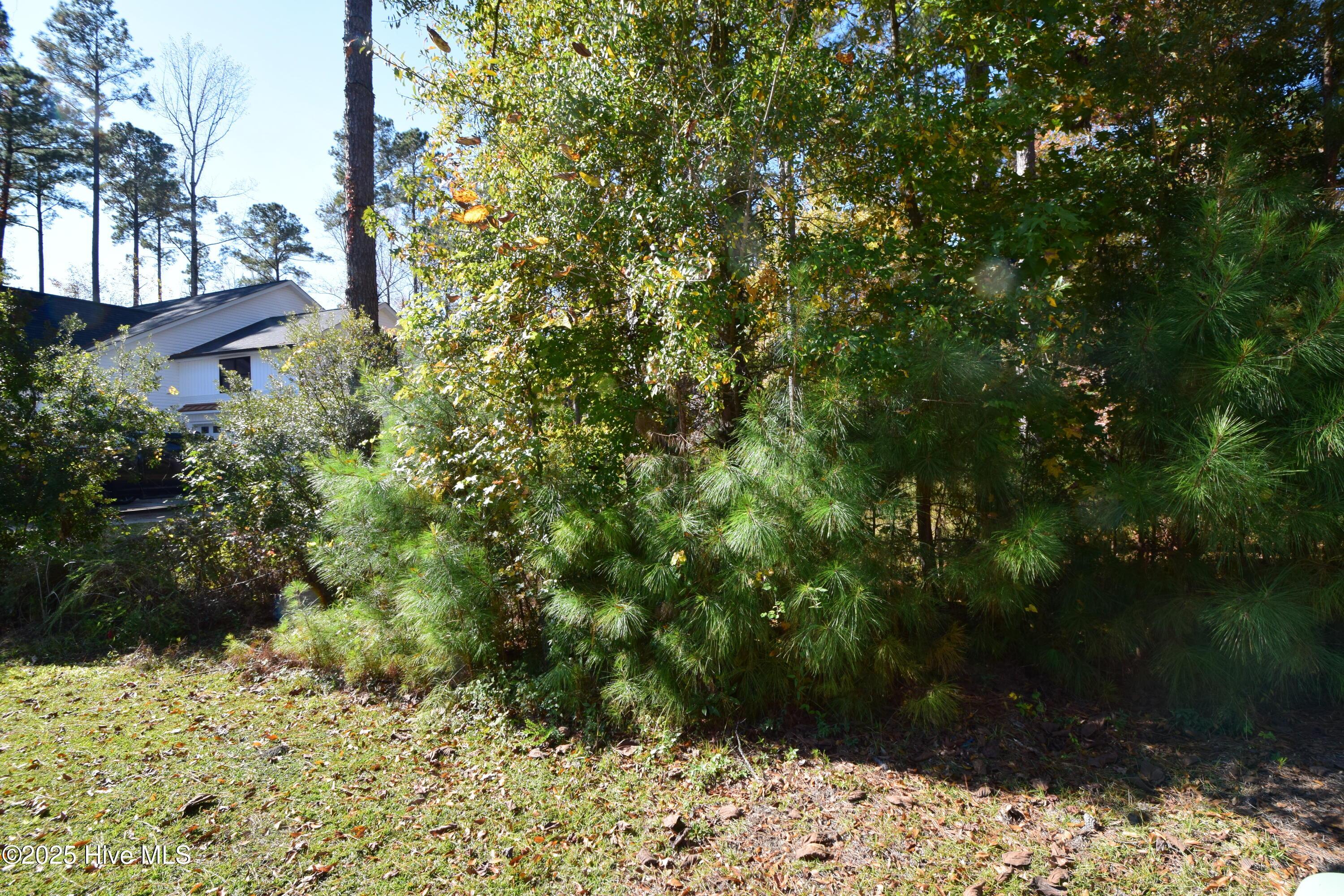 Image 3: 1b