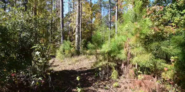 Image 4: 2