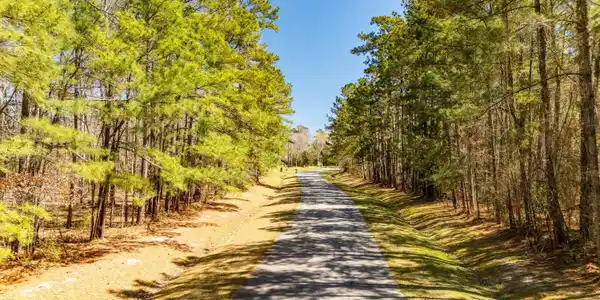 Image 3: 003_Road view