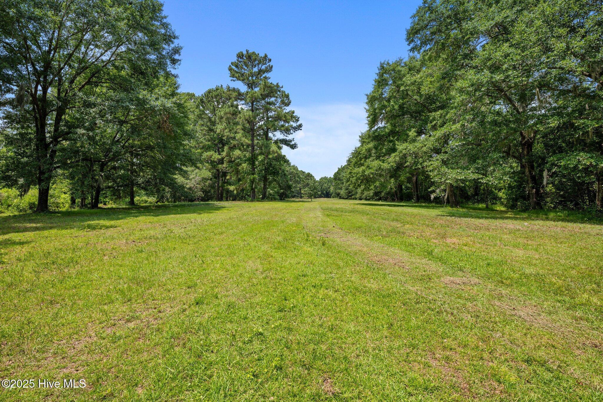 Image 4: Upland area