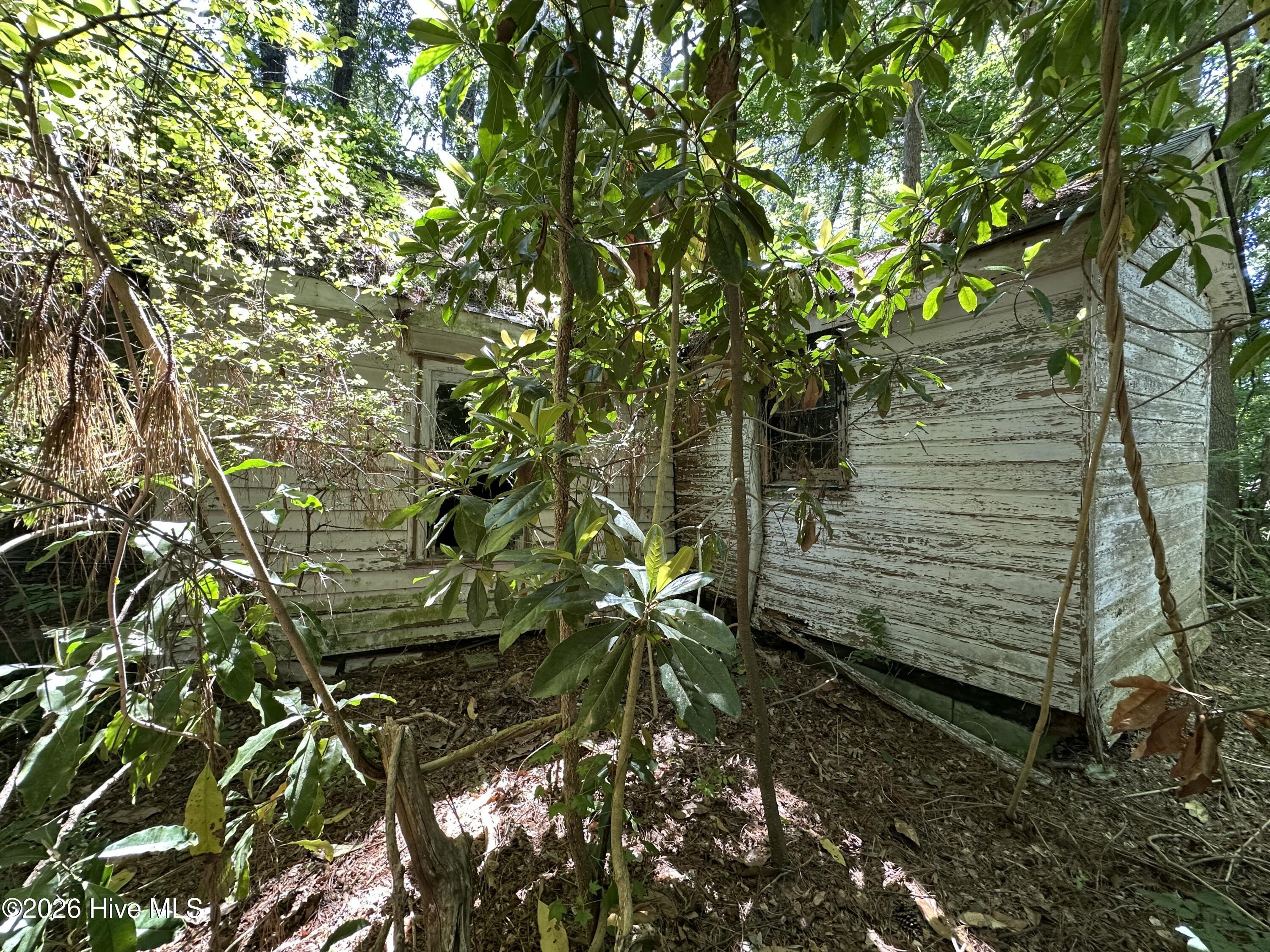 Image 4: Side Elevation