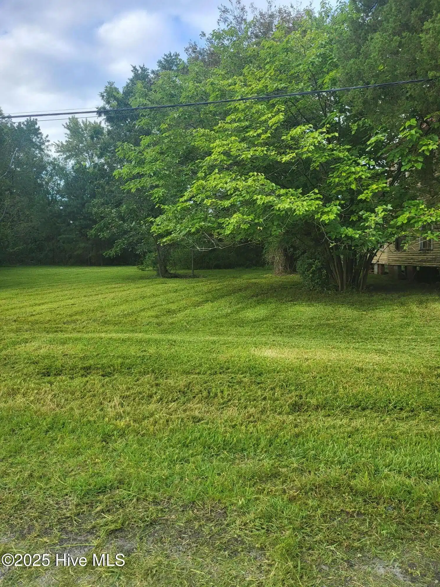 Image 1: Pungo Street lot2