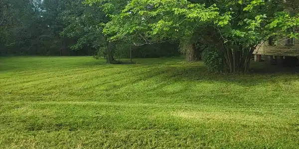 1 Lot N/S Pungo Parcel #29832 Street