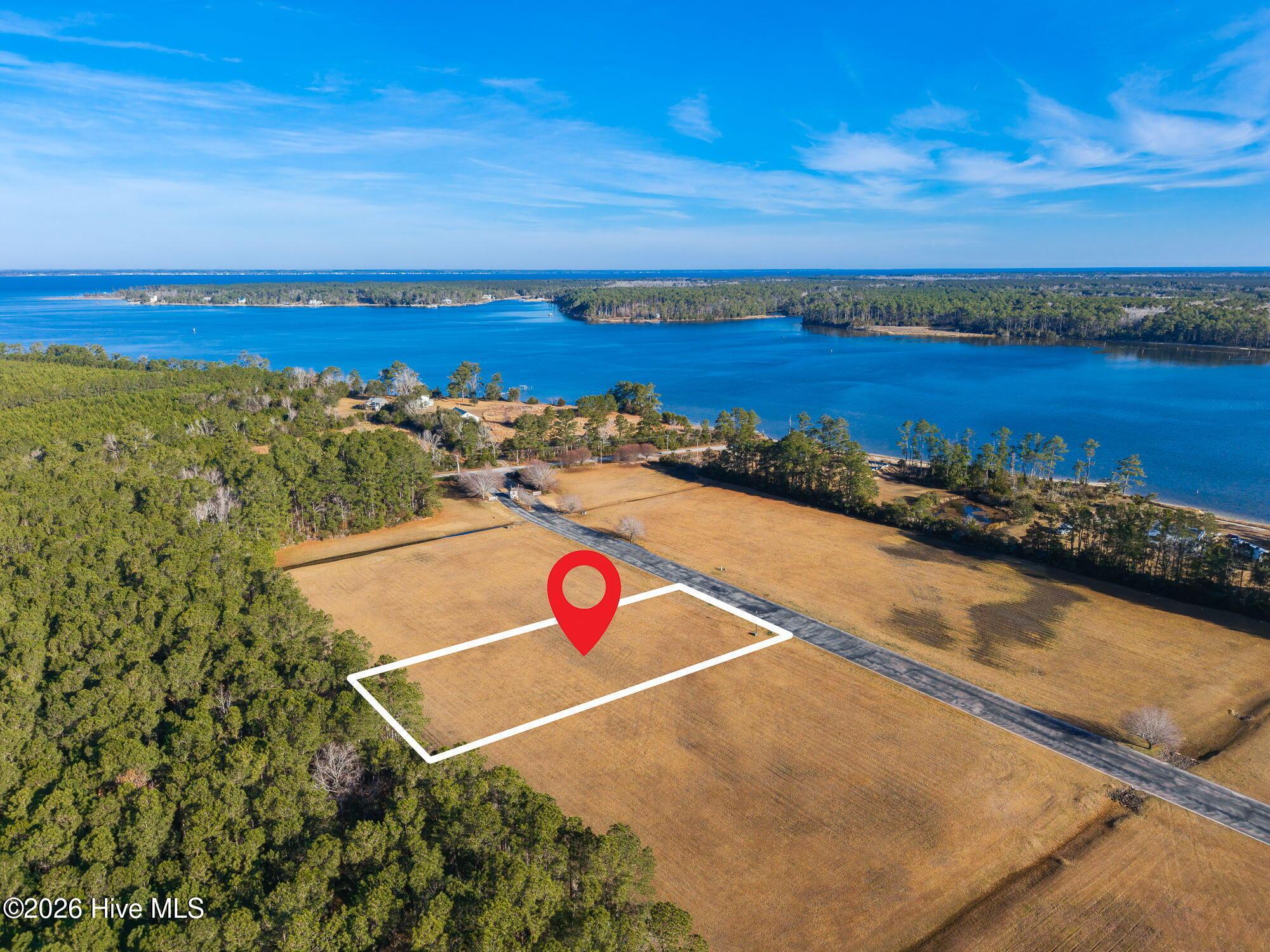 Image 1: Lot 31