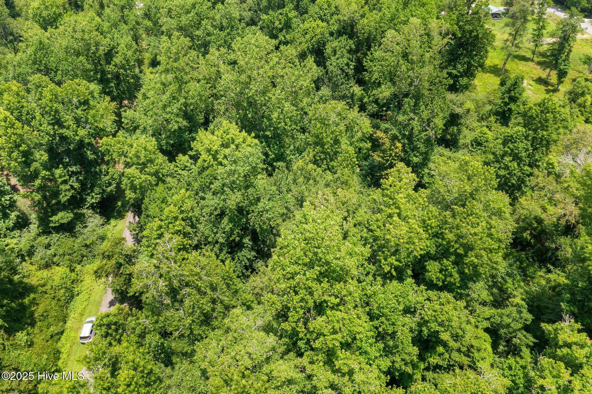 Image 1: 5-web-or-mls-DJI_0225