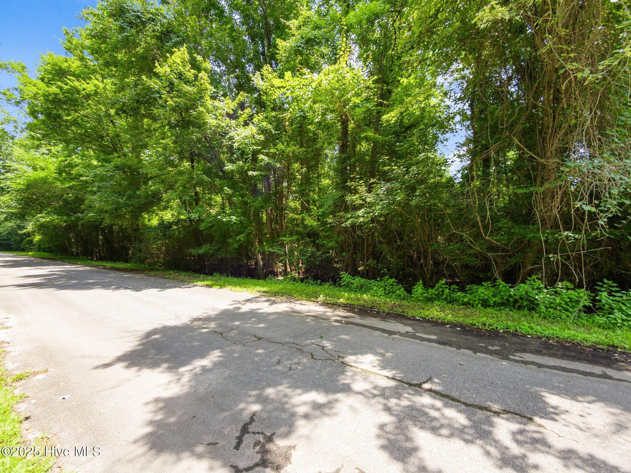 Image 2: 12-web-or-mls-P6245995