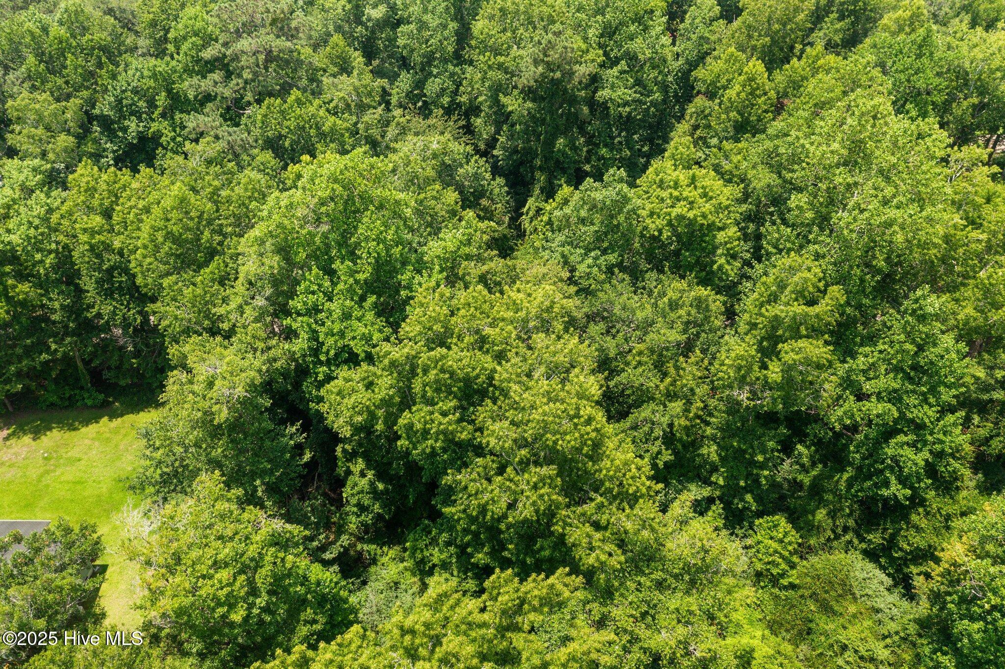 Image 3: 6-web-or-mls-DJI_0227