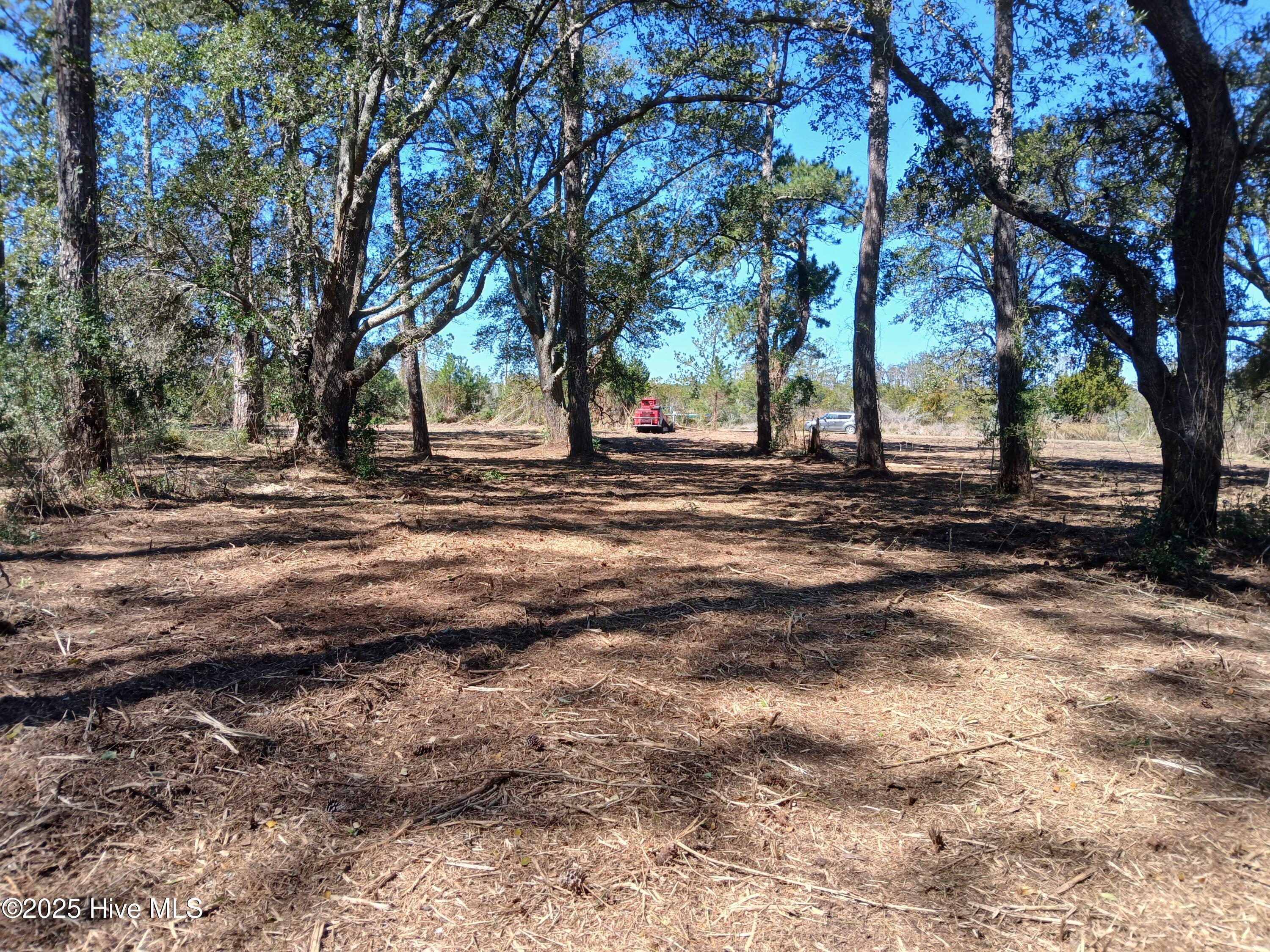 Image 3: 20250321_122043