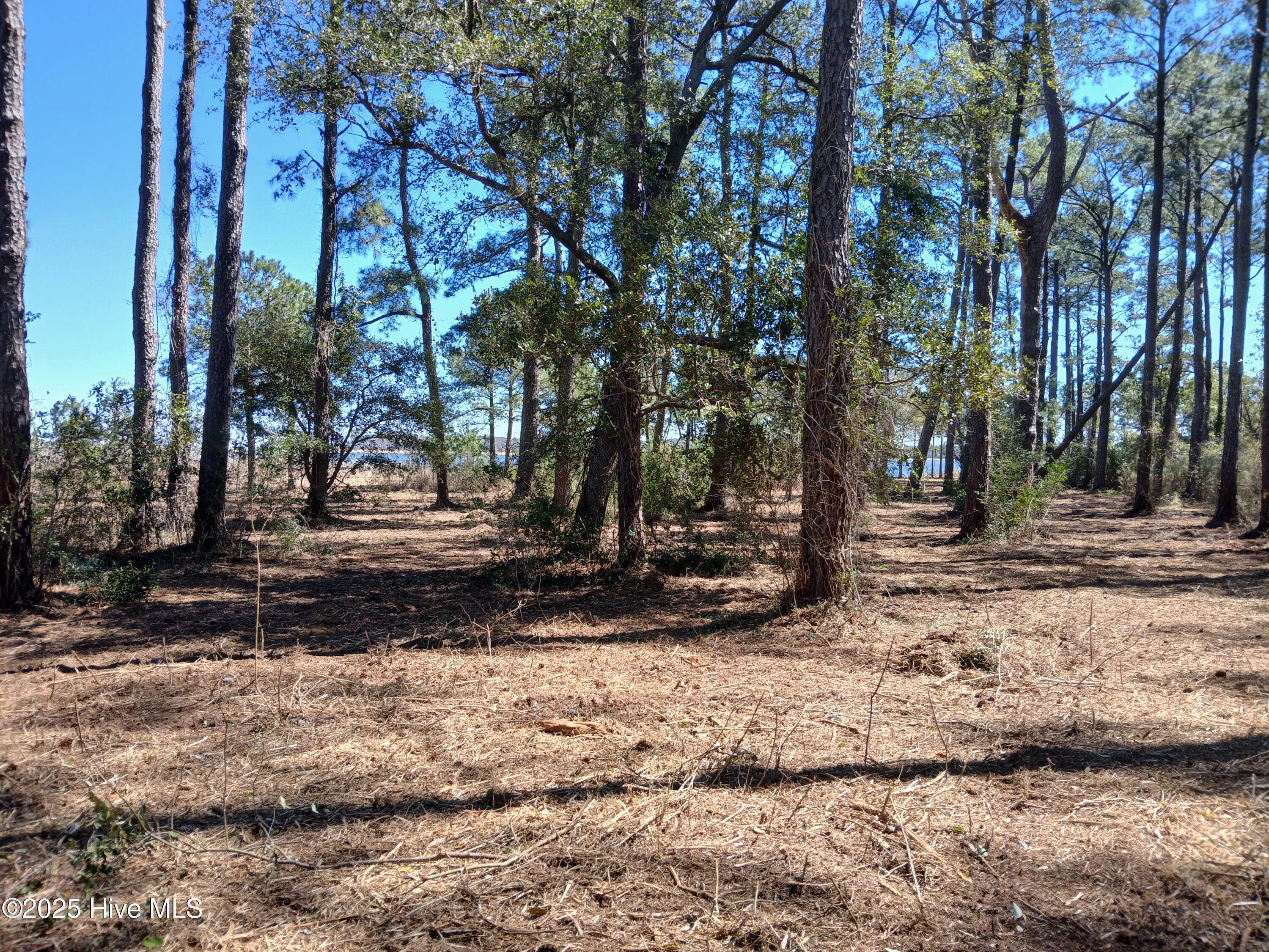 Image 4: 20250321_122059