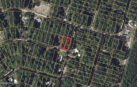 Lot #49&50 Cottonwood Drive