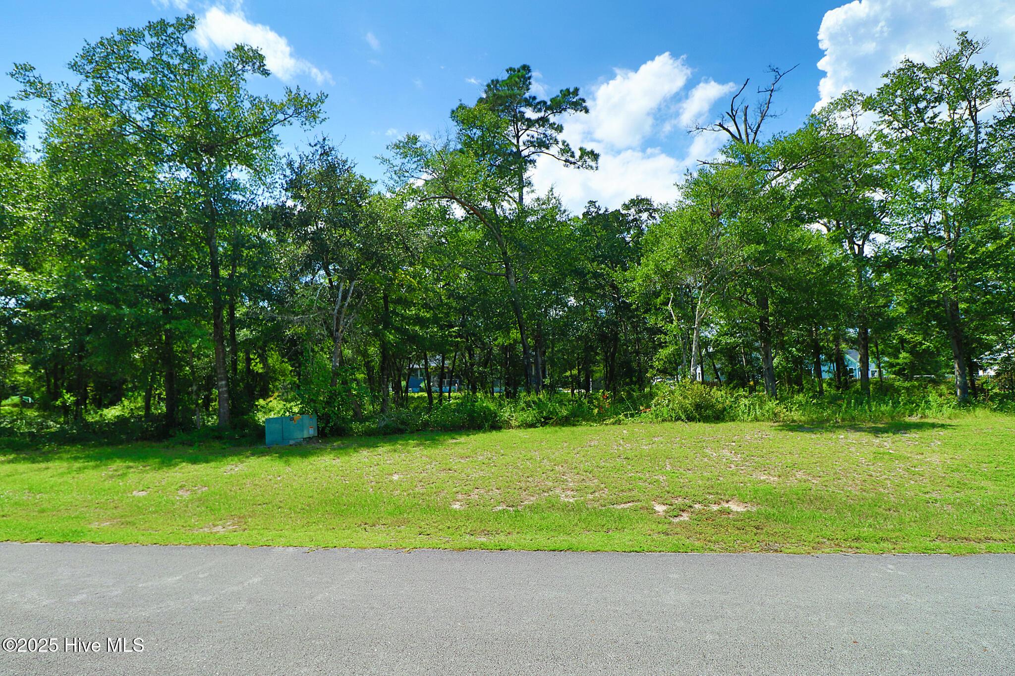 Image 3: Vacant lot in Spooner's Creek