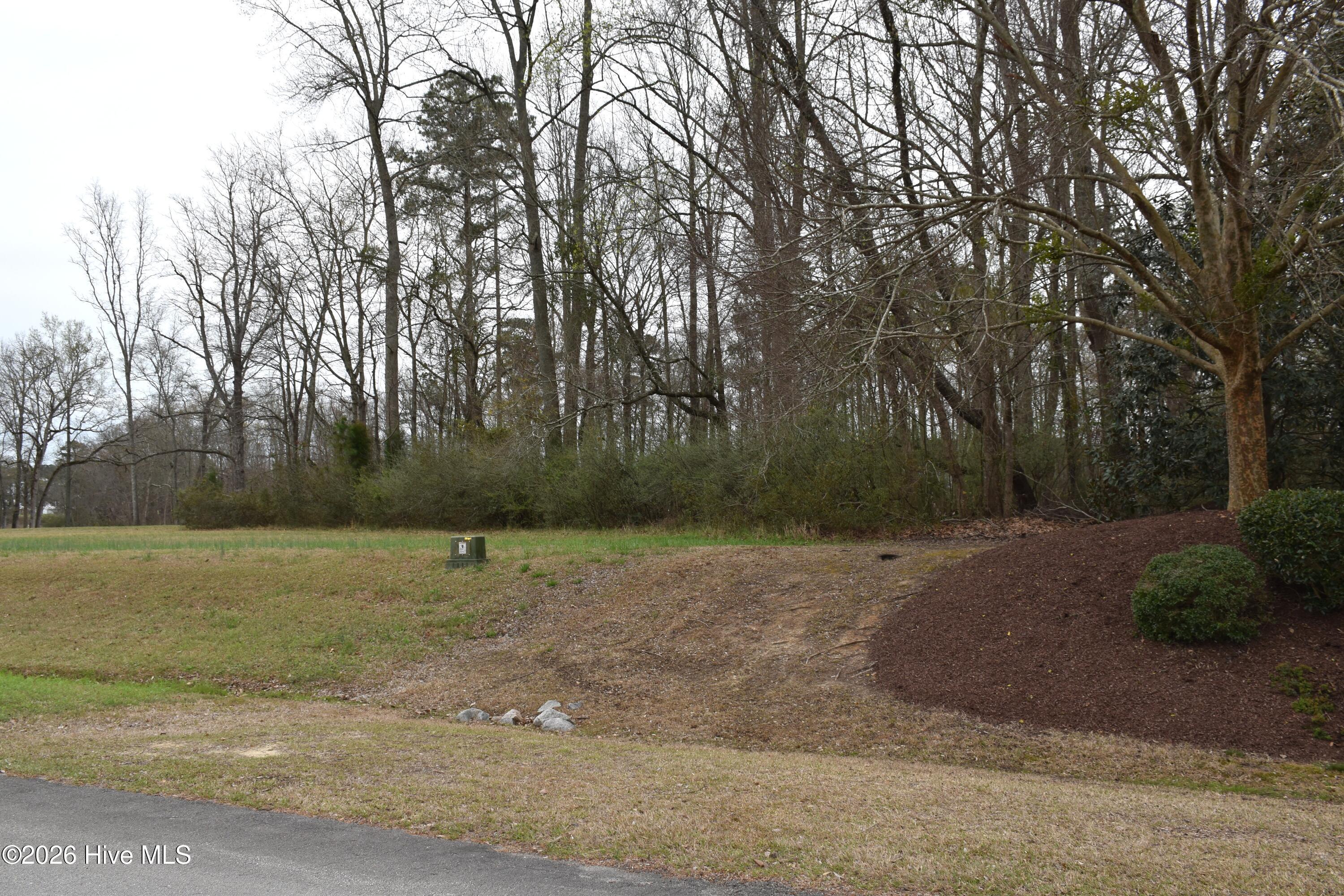 Image 1: 18 Bridgewater South Dr