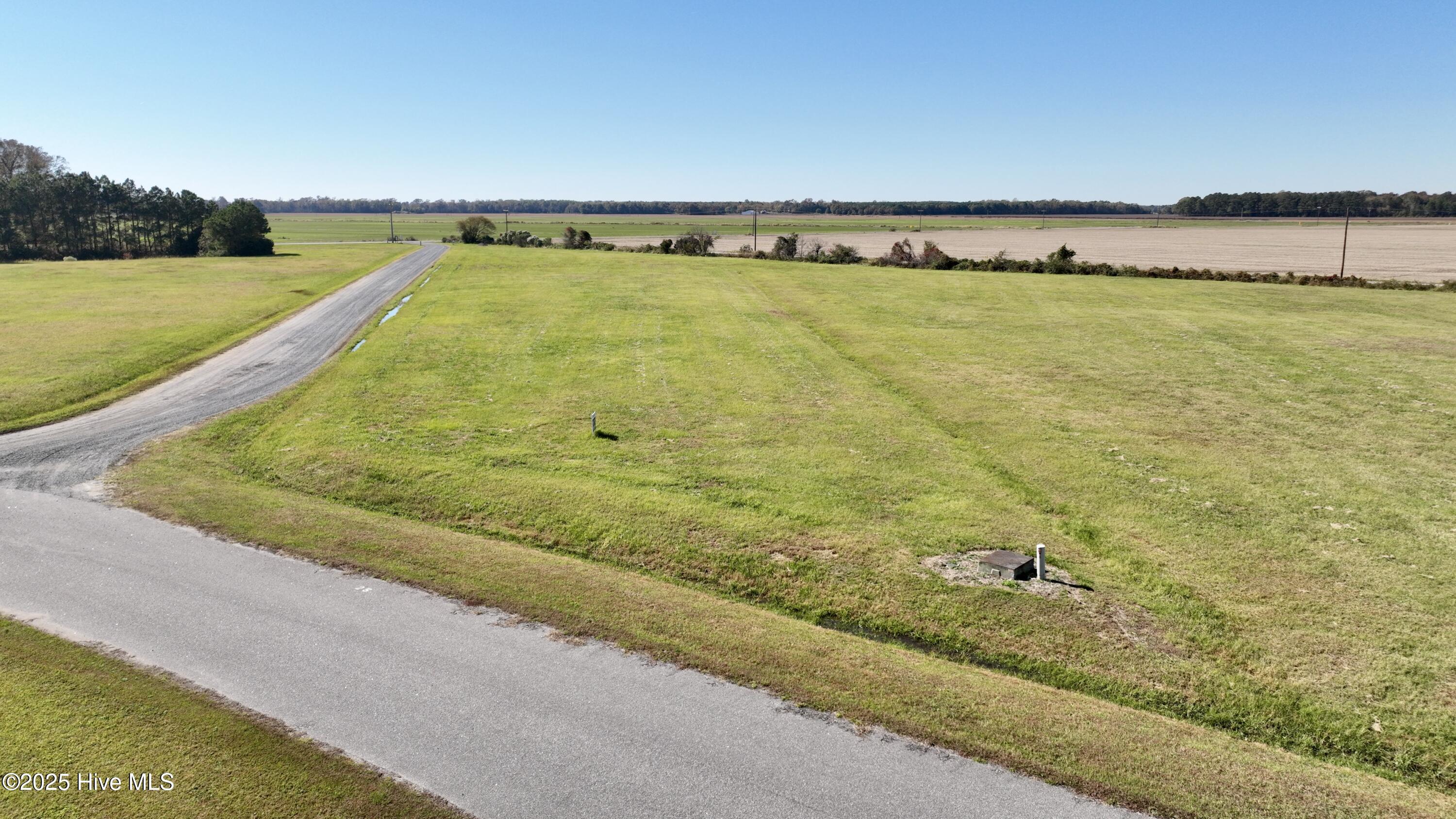 Image 2: Lot1