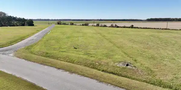 Image 2: Lot1