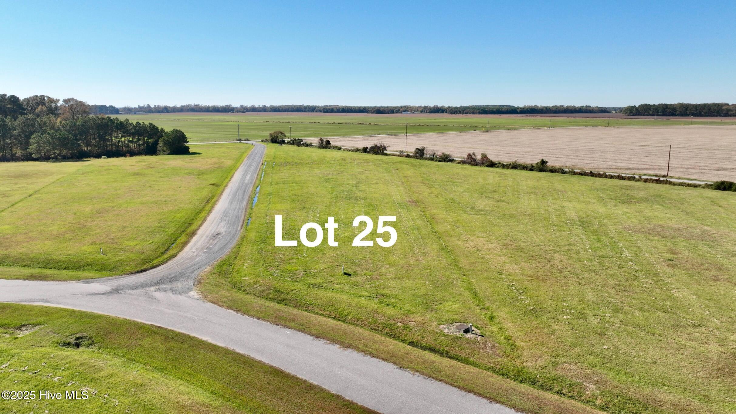 Image 3: Lot2