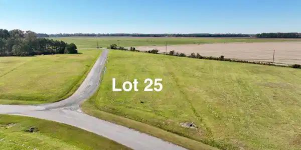 Image 3: Lot2