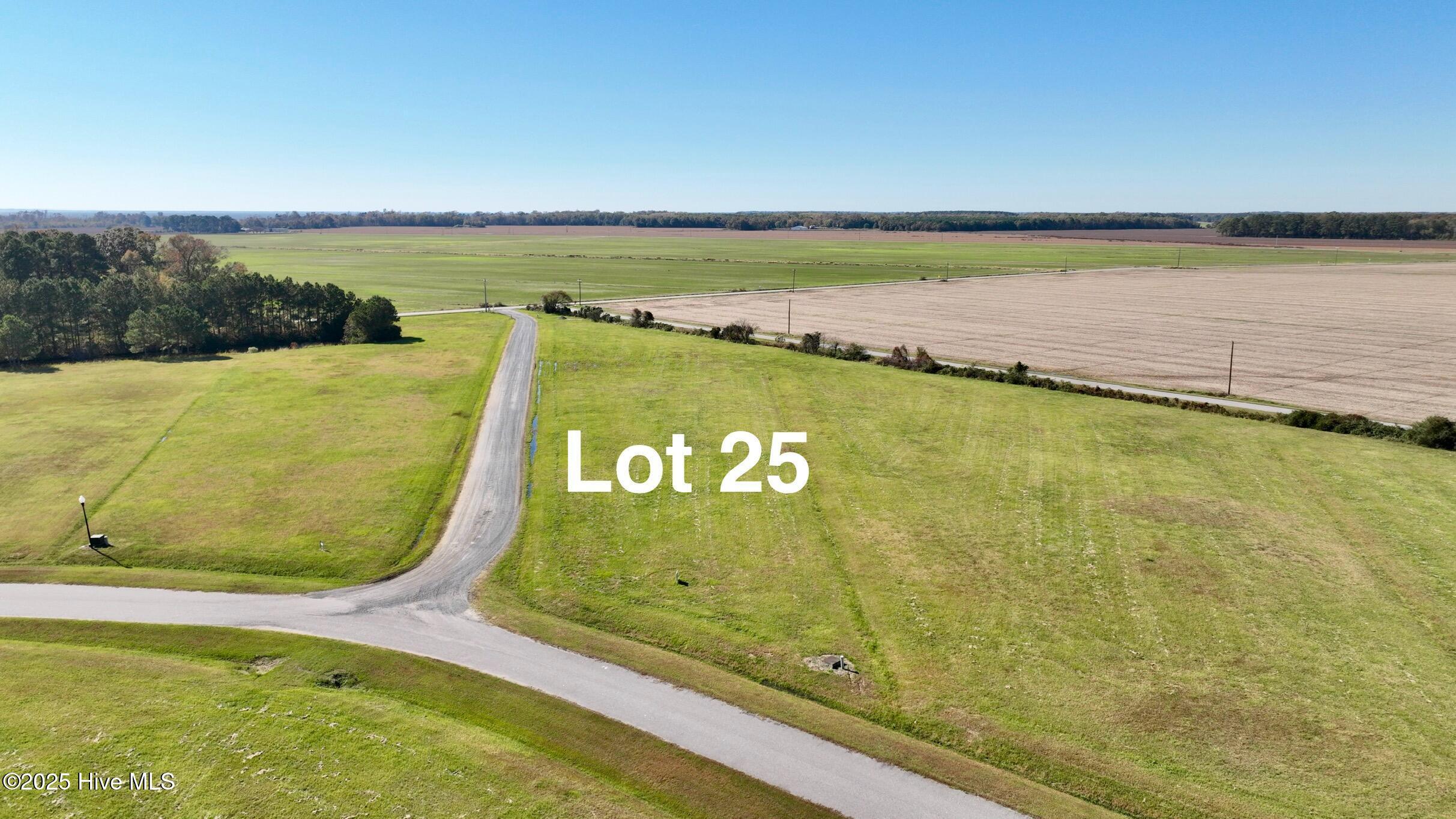 Image 4: Lot3