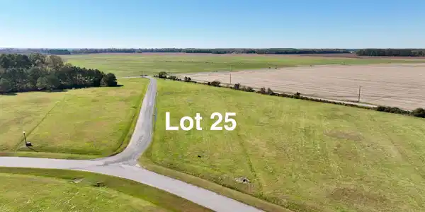 Image 4: Lot3