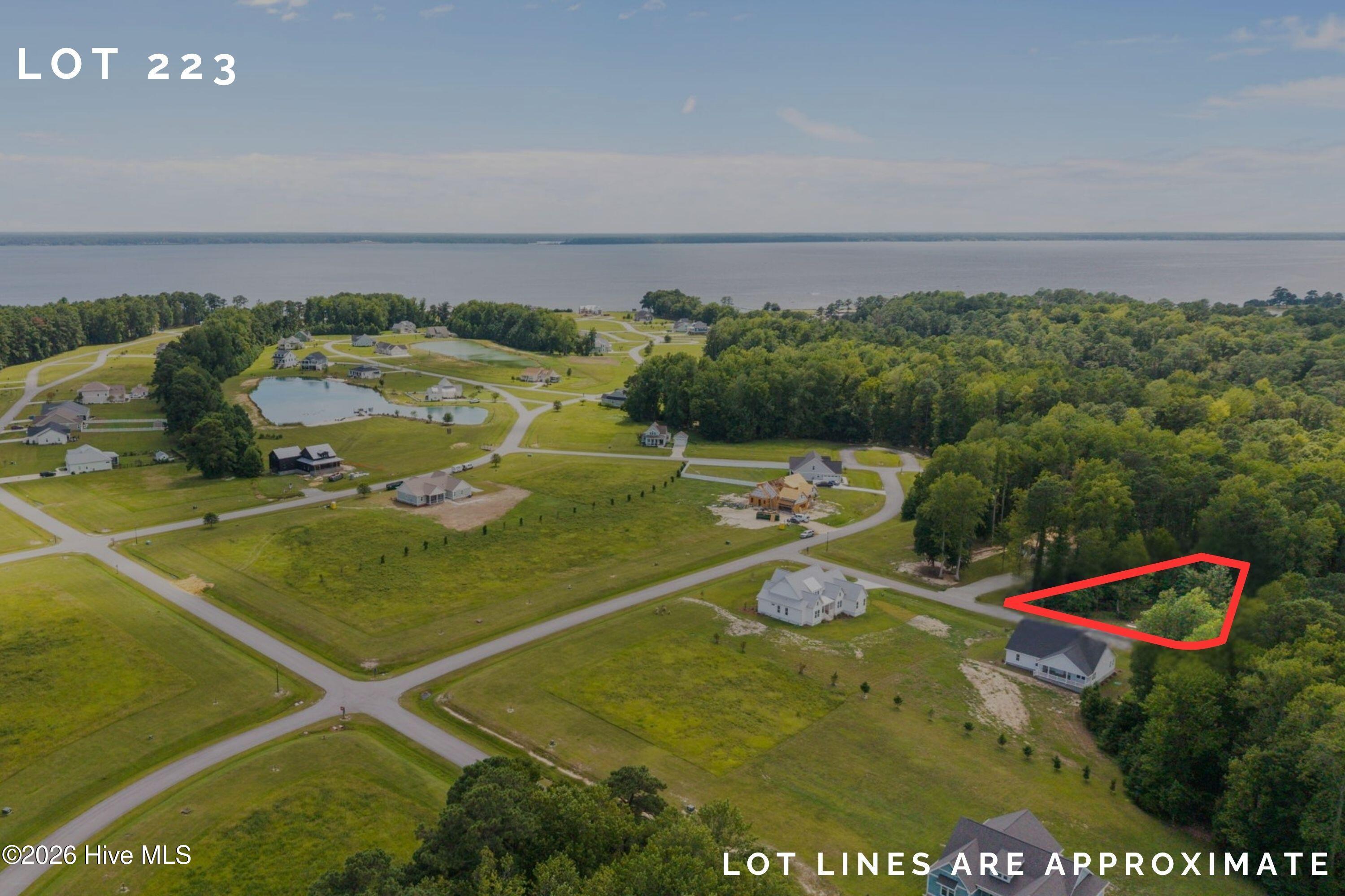 Image 1: Lot 223