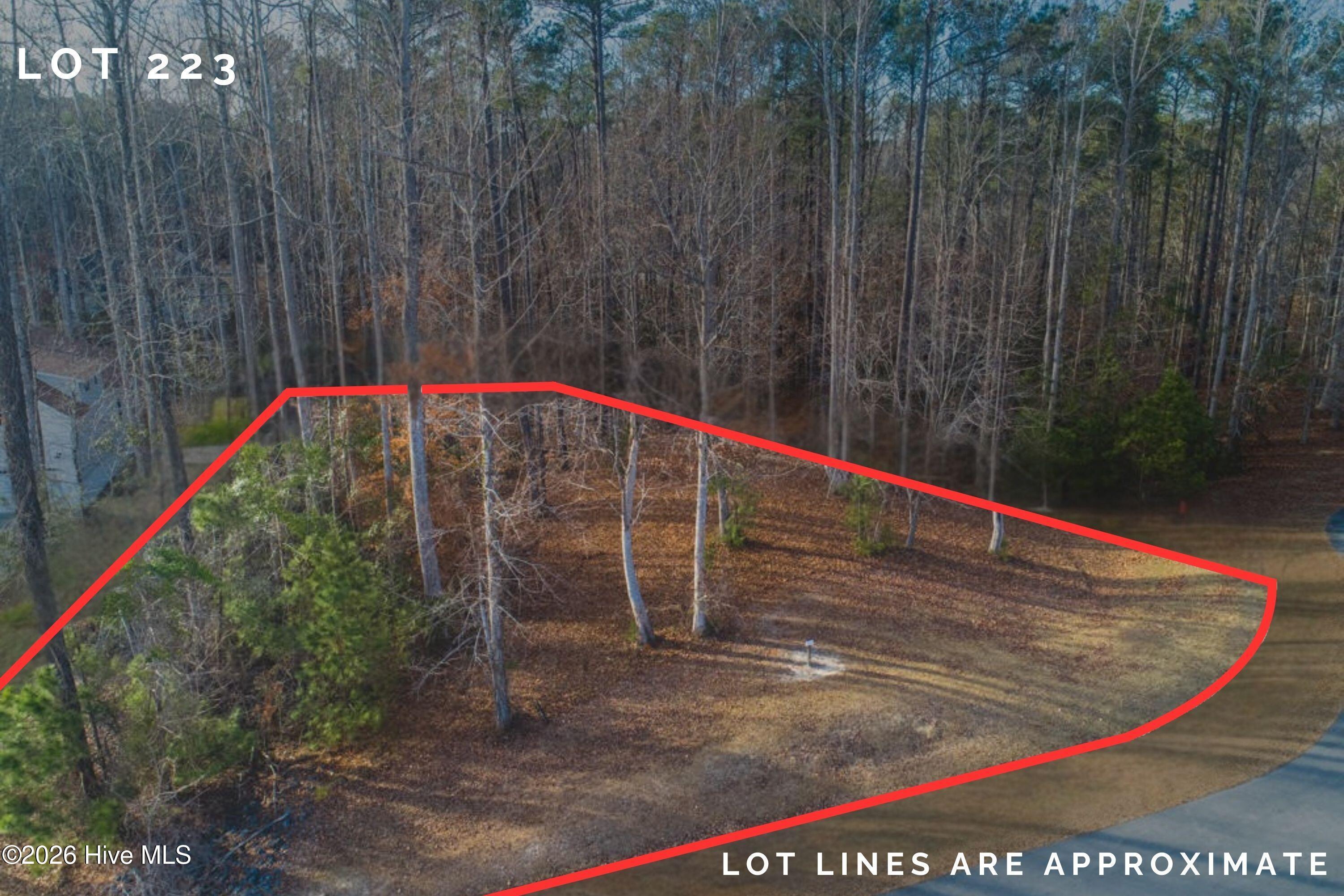 Image 3: Lot 223 (2)